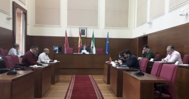 Pleno en el Ayuntamiento de Chiclana